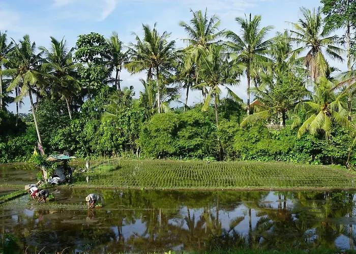Gasthof Puri Kobot